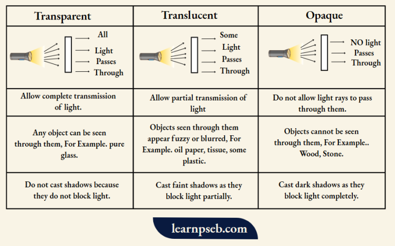 PSEB Class 10 Physics Solutions For Chapter 1 Light-Reflection And ...