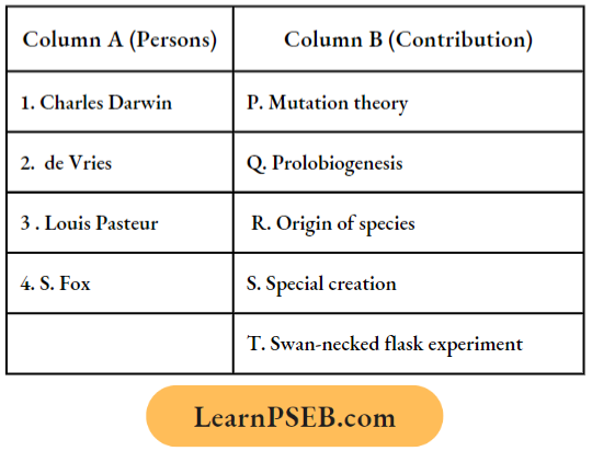 Evidences Of Evolution Relationship Among Organisms Match The Column Question 1