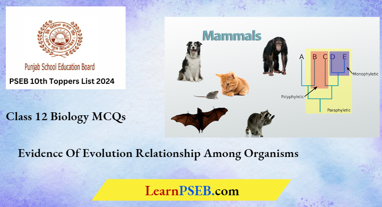 PSEB 12th Class Biology Evidence Of Evolution Relationship Among Organisms MCQS