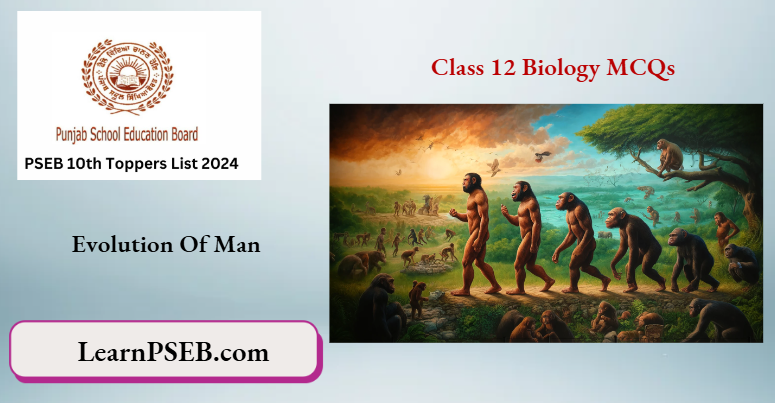 PSEB 12th Class Biology Evolution Of Man Multiple Choice Questions