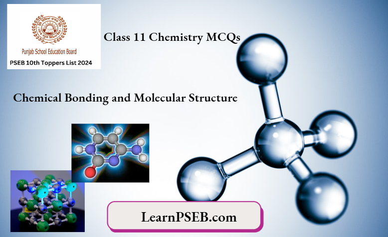PSEB Class 11 Chemistry Chemical Bonding and Molecular Structure MCQs