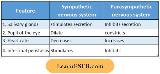 Nervous System Given Below Is A Table Comparing Question 49