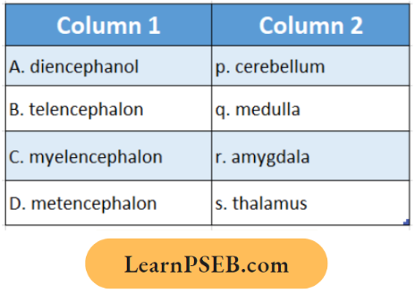 Nervous System Match The Entire Column 1And 2 Question 46.