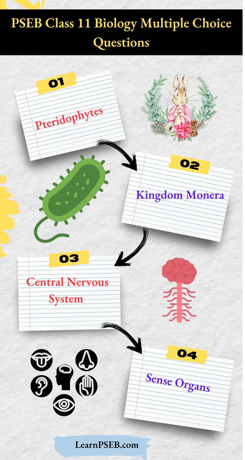 PSEB Class 11 Biology Multiple Choice Questions