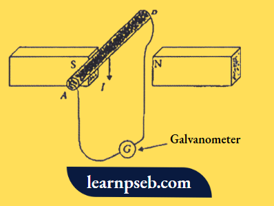 PSEB Class 10 Biology Solutions For A Conducting Rod AB Moves Across Two Magnets
