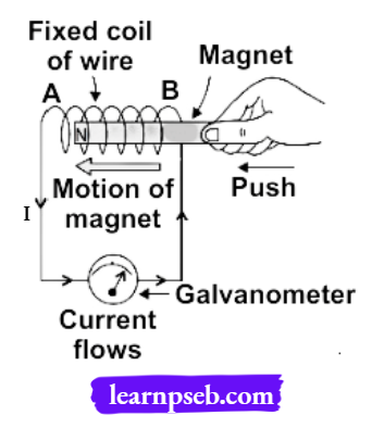 PSEB Class 10 Biology Solutions For A Current Carrying Wire Produces Magnetic Field Around It