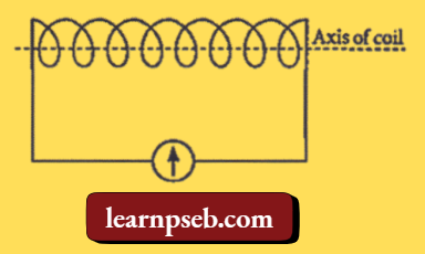 PSEB Class 10 Biology Solutions For A Student Connects A Coil Of Wire With A Sensitive Galvanometer