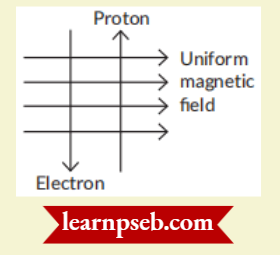 PSEB Class 10 Biology Solutions For A Uniform Magnetic Field Exists In The plane Of Paper From Left to Right
