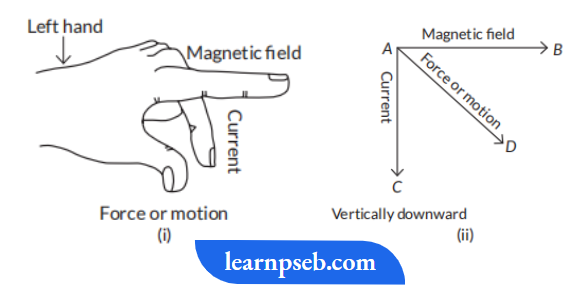 PSEB Class 10 Biology Solutions For Direction Of Magnetic Force Is Given By Fleming's Left Hand Rule