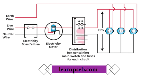 PSEB Class 10 Biology Solutions For Domestic Electric Circuits