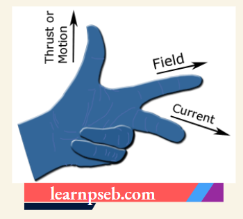 PSEB Class 10 Biology Solutions For Fleming's Left-Hand Rule