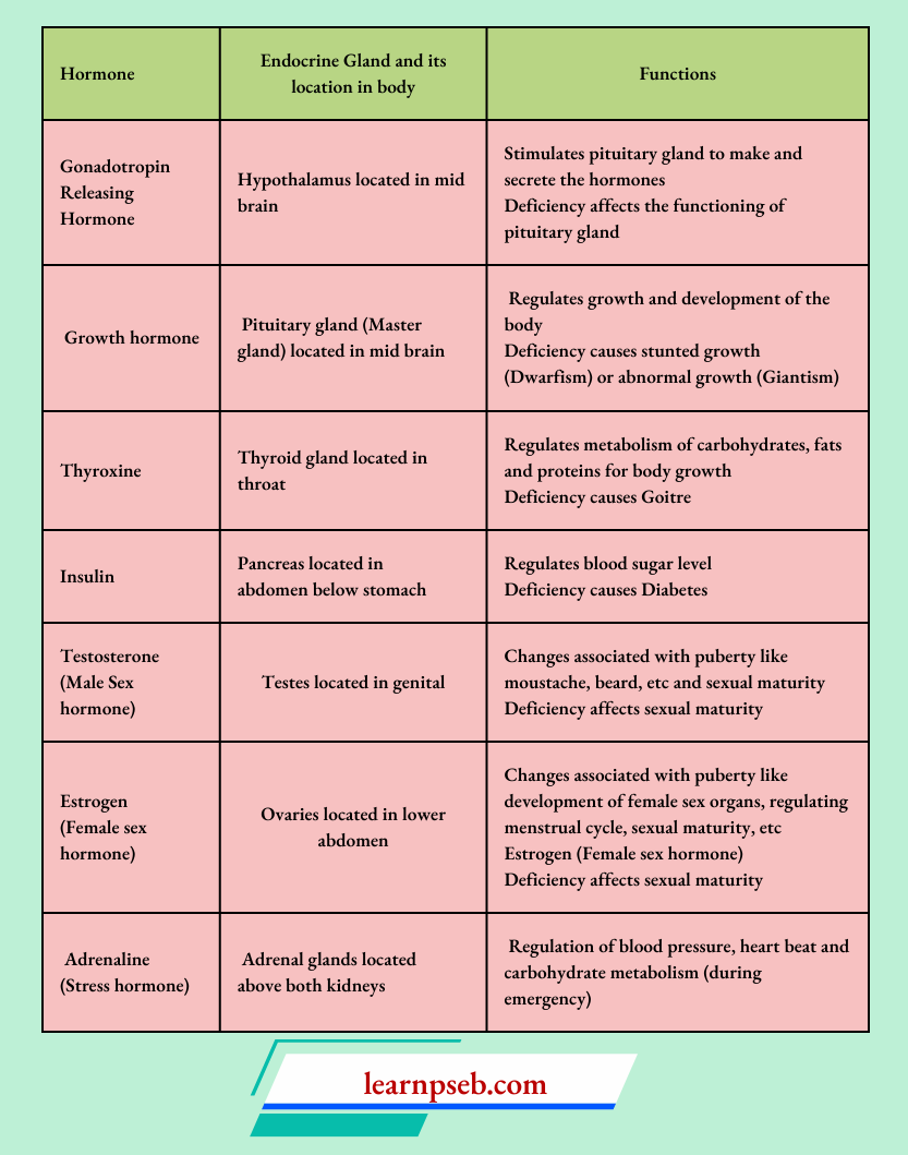PSEB Class 10 Biology Solutions For Important Human Hormones And Their Functions