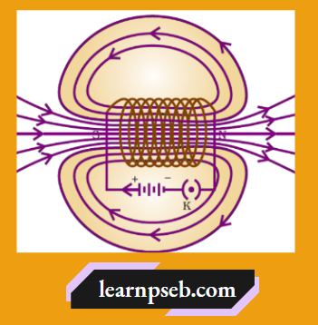 PSEB Class 10 Biology Solutions For Magnetic Field Inside The Solenoid