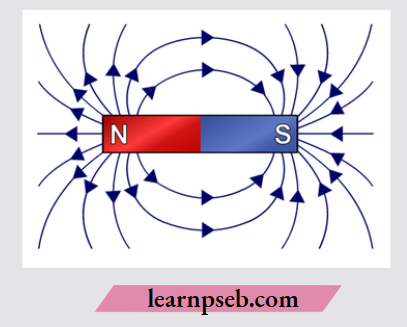 PSEB Class 10 Biology Solutions For Magnetic Field Lines