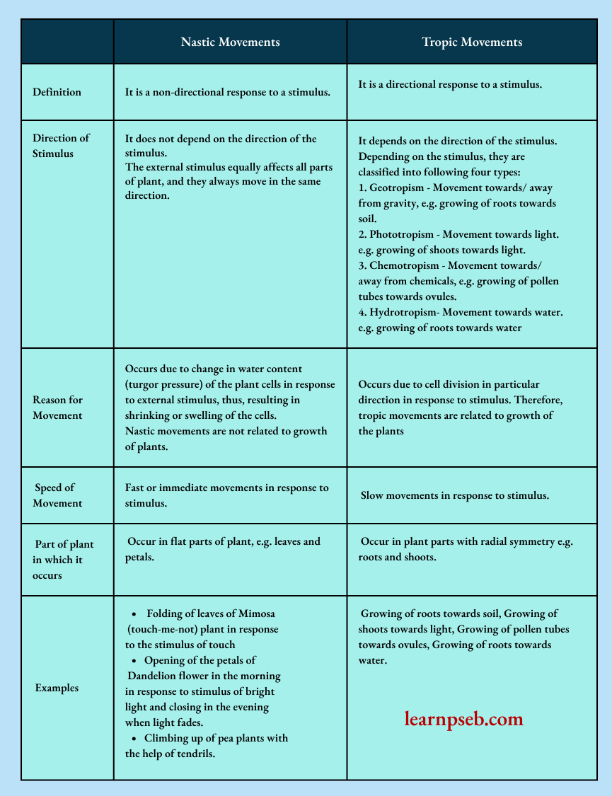 PSEB Class 10 Biology Solutions For Nastic Movements And Tropic Movements