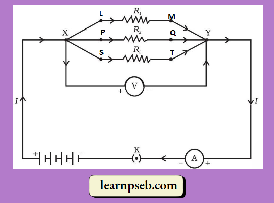 PSEB Class 10 Biology Solutions For Resistors In Parallel.