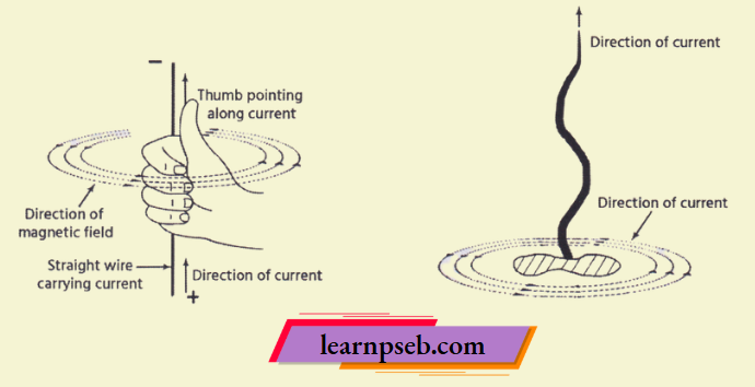 PSEB Class 10 Biology Solutions For Right Hand Thumb Or Maxwell's Corkscrew Rule