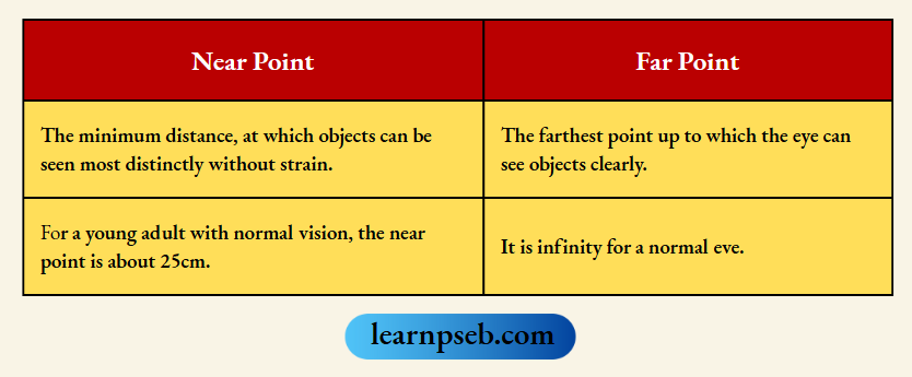 PSEB Class 10 Physics Solutions For Chapter 2 Near And Far Point