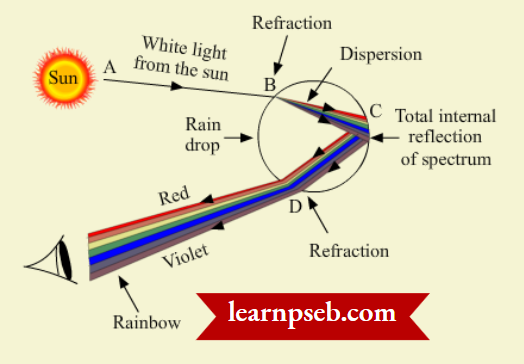 PSEB Class 10 Physics Solutions For Chapter 2 Rainbow