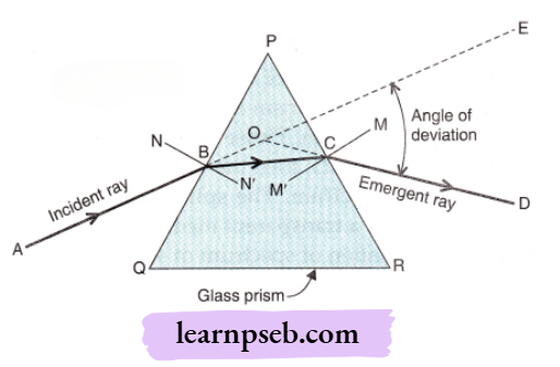 PSEB Class 10 Physics Solutions For Chapter 2 Refraction Of Light Through A Prism