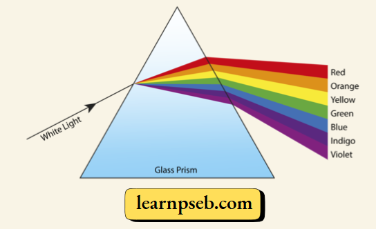 PSEB Class 10 Physics Solutions For Chapter 2 Splitting Of White Light Into A Spectrum