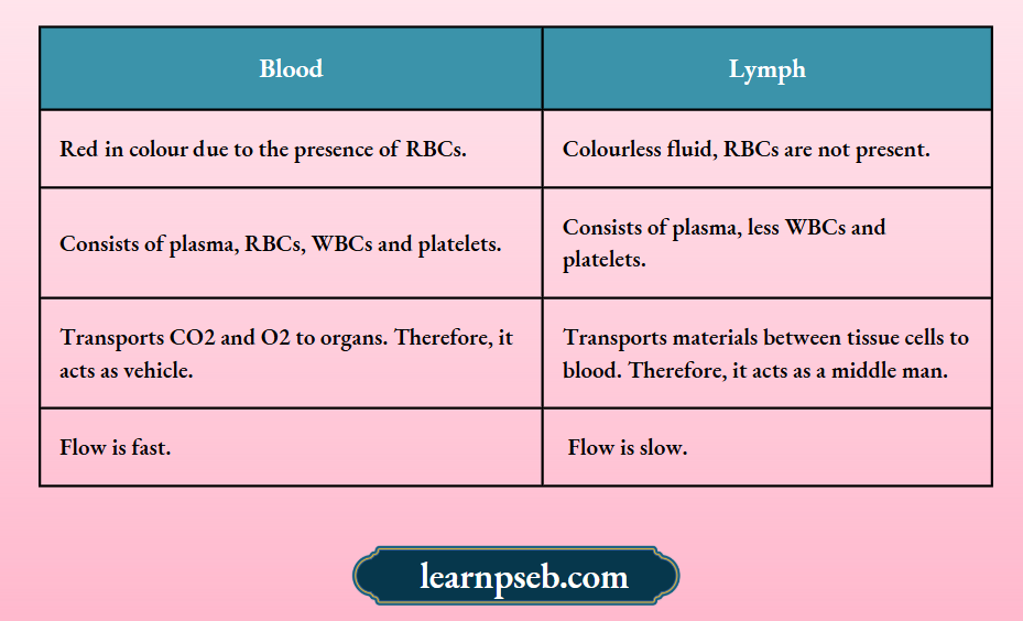 PSEB Solutions Class 10 Biology Chapter 1 Difference Between Blood And Lymph