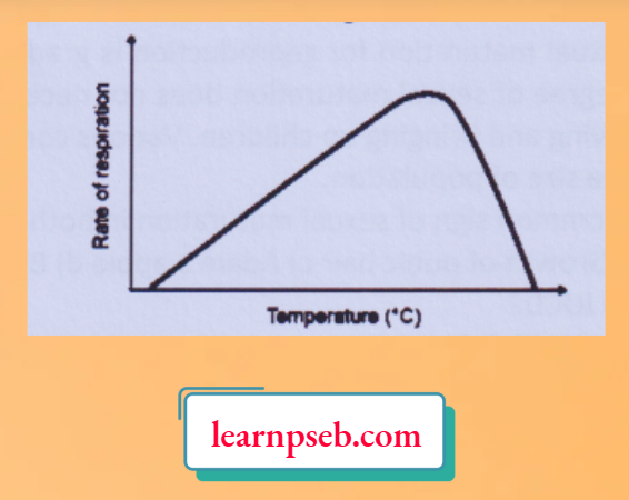 PSEB Solutions Class 10 Biology Chapter 1 Rate Of Respiration