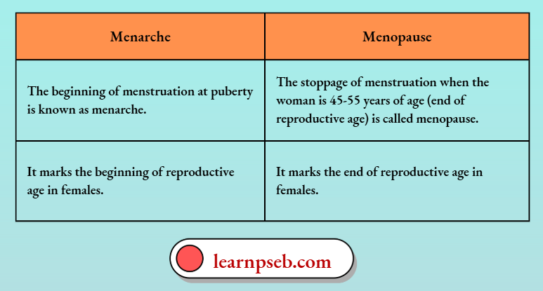 PSEB Solutions Class 10 Biology Chapter 2 Difference Between Menarche And Menopause