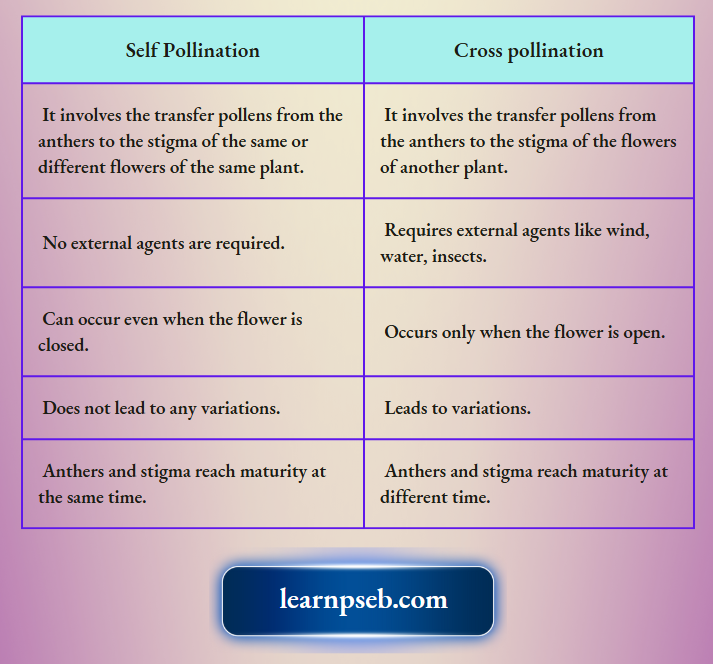 PSEB Solutions Class 10 Biology Chapter 2 Difference Between Self Pollination And Cross Pollination