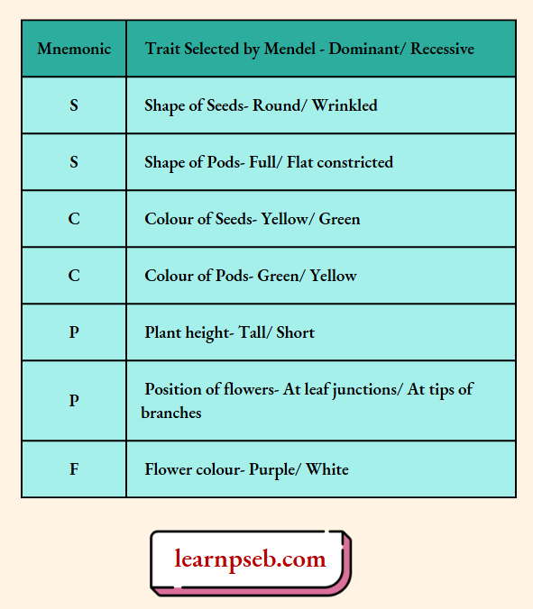 PSEB Solutions Class 10 Biology Chapter 3 Seven Pairs Of Contrasting Characters Selected By Mendel