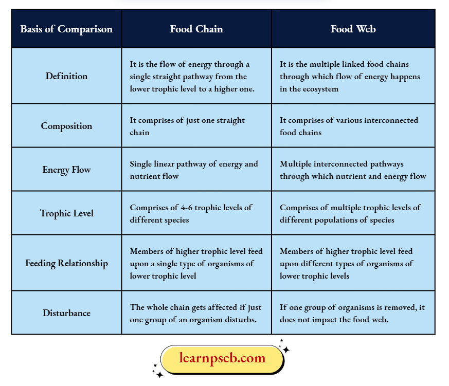 PSEB Solutions Class 10 Biology Chapter 5 Difference Between Food Chain And Food Web