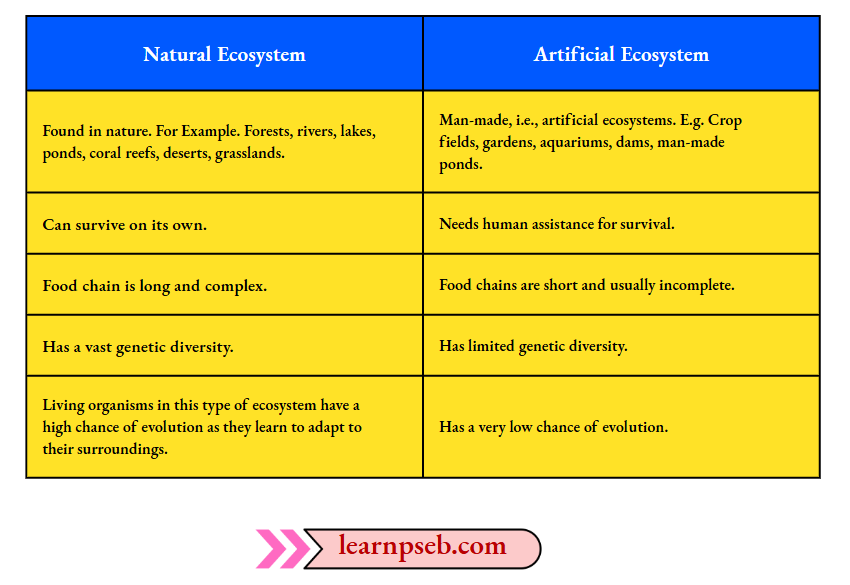 PSEB Solutions Class 10 Biology Chapter 5 Types Of Ecosystems