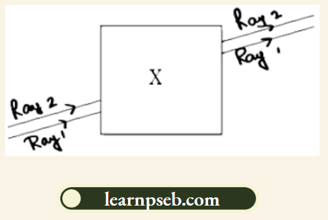 PSEB Solutions For Class 10 Physics Chapter 1 A Small butter-paper screen To See The Spots Of Light Being Castas They Emerged