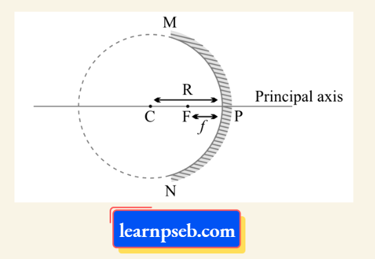 PSEB Solutions For Class 10 Physics Chapter 1 Context To Spherical Mirrors