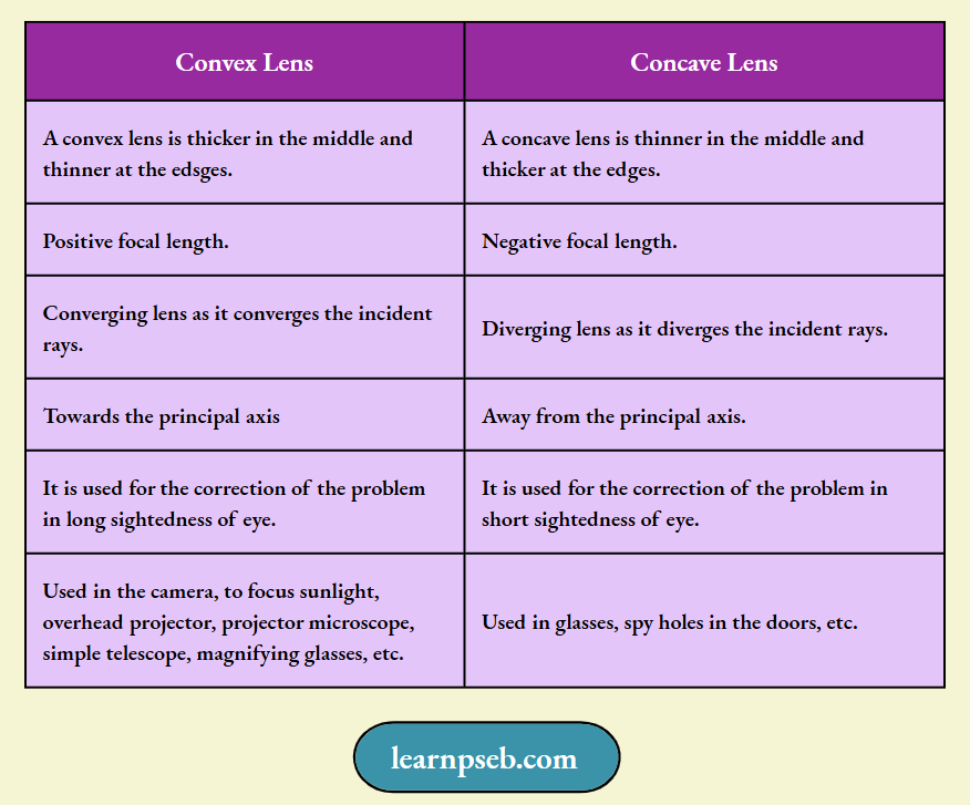 PSEB Solutions For Class 10 Physics Chapter 1 Difference Between Concave And Convex Lenses