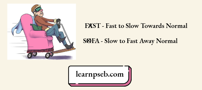 PSEB Solutions For Class 10 Physics Chapter 1 FAST SOFA