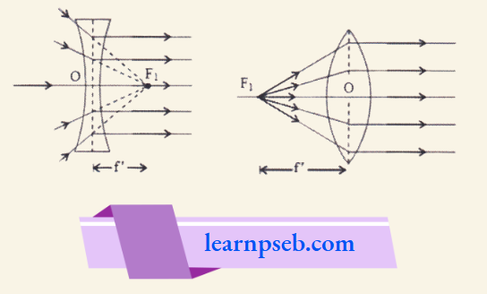 PSEB Solutions For Class 10 Physics Chapter 1 First Principal Focus (F1) And First Focal Length (f)