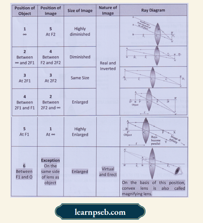 PSEB Solutions For Class 10 Physics Chapter 1 Image Formation By Convex Lens