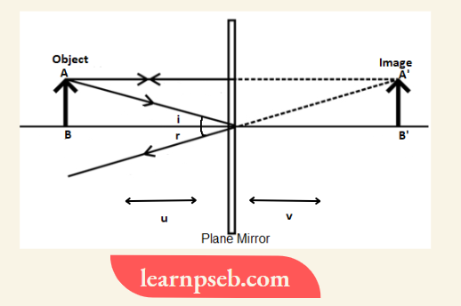 PSEB Solutions For Class 10 Physics Chapter 1 Image Formed By Plane Mirror
