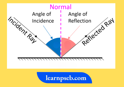 PSEB Solutions For Class 10 Physics Chapter 1 Laws Of Reflection