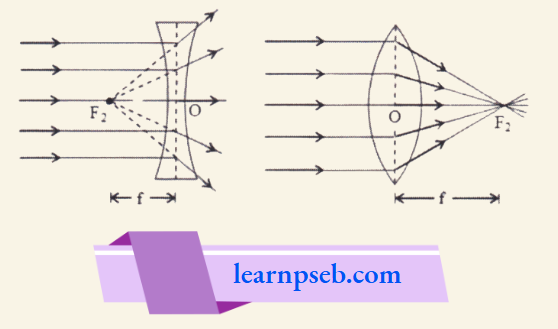 PSEB Solutions For Class 10 Physics Chapter 1 Second Principal Focus (F2) And Second Focal Length (f')