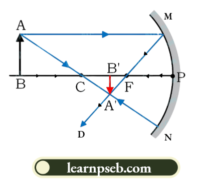 PSEB Solutions For Class 10 Physics Chapter 1 The Formation Of Image By A Concave Mirror