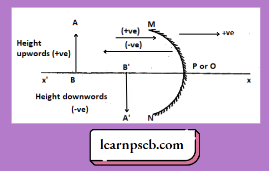PSEB Solutions For Class 10 Physics Chapter 1 The New Cartesian Sign Convention