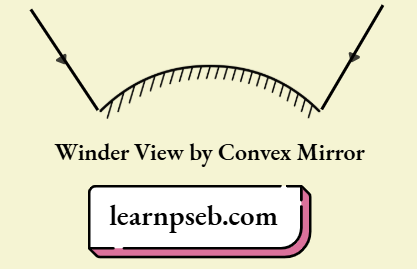 PSEB Solutions For Class 10 Physics Chapter 1 Wider View by Convex Mirror